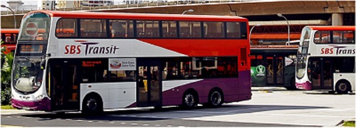 sbs transit bus