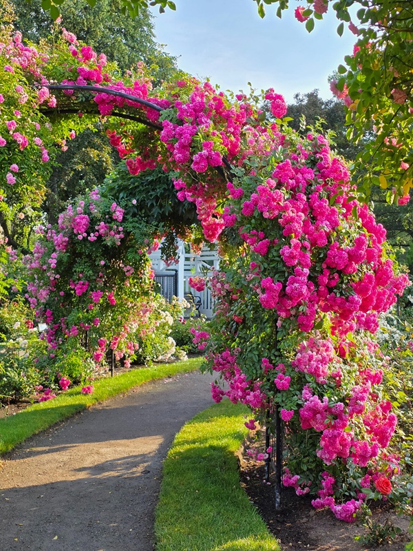 cloud forest dome – gardens by the bay
