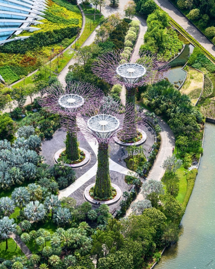 gardens by the bay – supertree grove