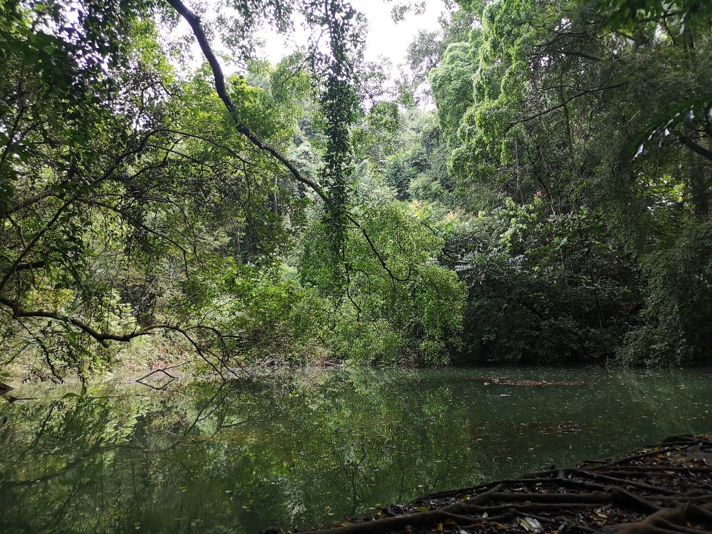 keppel hill reservoir
