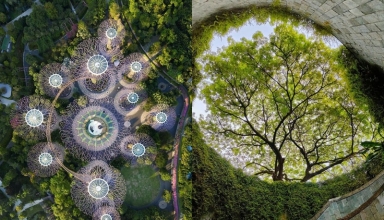 instagrammable spots singapore 2025