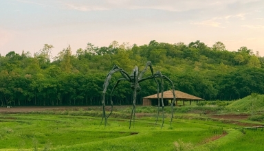khao yai national park