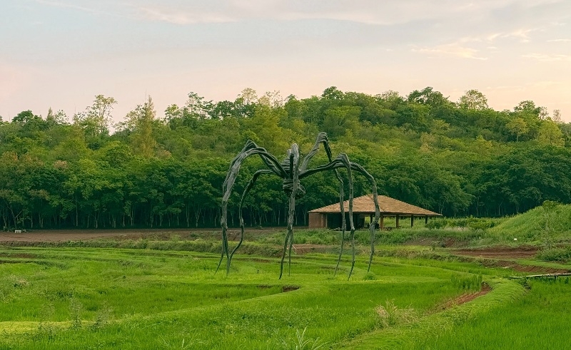 khao yai national park