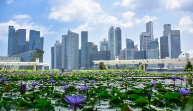asia’s green revolution