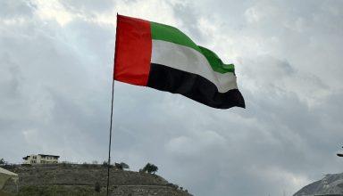 uae human rights partnerships