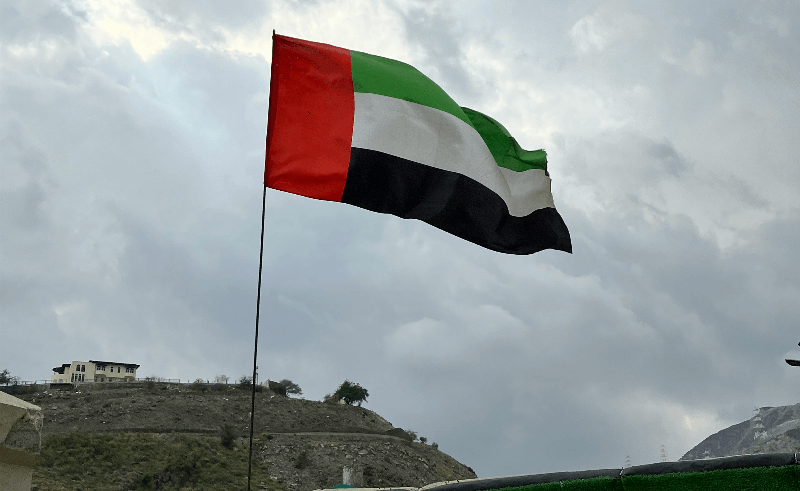 uae human rights partnerships