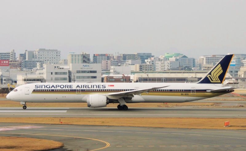 Singapore Airlines busiest routes 2025