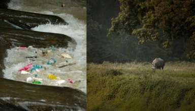 Tourism Reimagined: Malaysia’s Sustainable Travel Plan