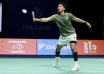 Indonesia Badminton Stars