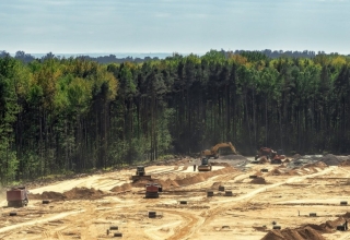 malaysian companies png forest clearing permits