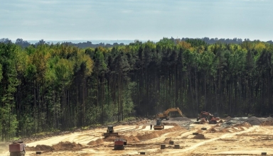 malaysian companies png forest clearing permits