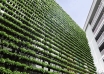 Singapore world’s tallest indoor vertical farm