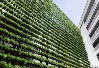 Singapore world’s tallest indoor vertical farm