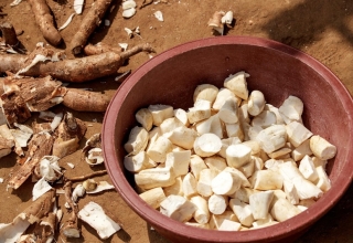 Vietnam cassava exporter