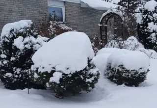 Hamilton Ontario 21-Day Weather Forecast