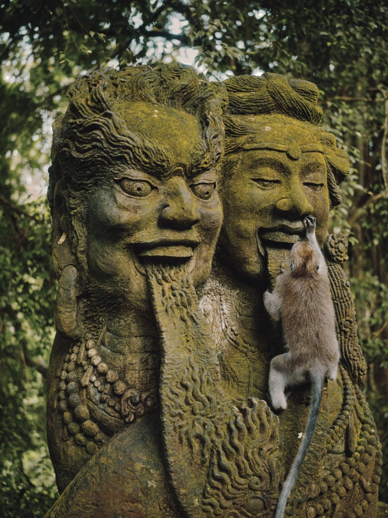 monkey forest ubud