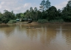Explore Sabah River Safaris