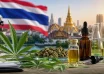 thailand cannabis rules 2026