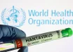 thailand hantavirus alert