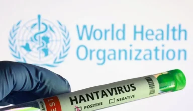 thailand hantavirus alert