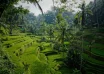 best time to visit bali