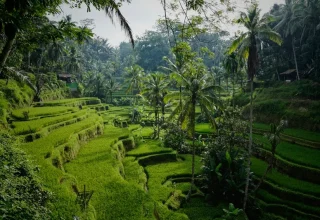best time to visit bali